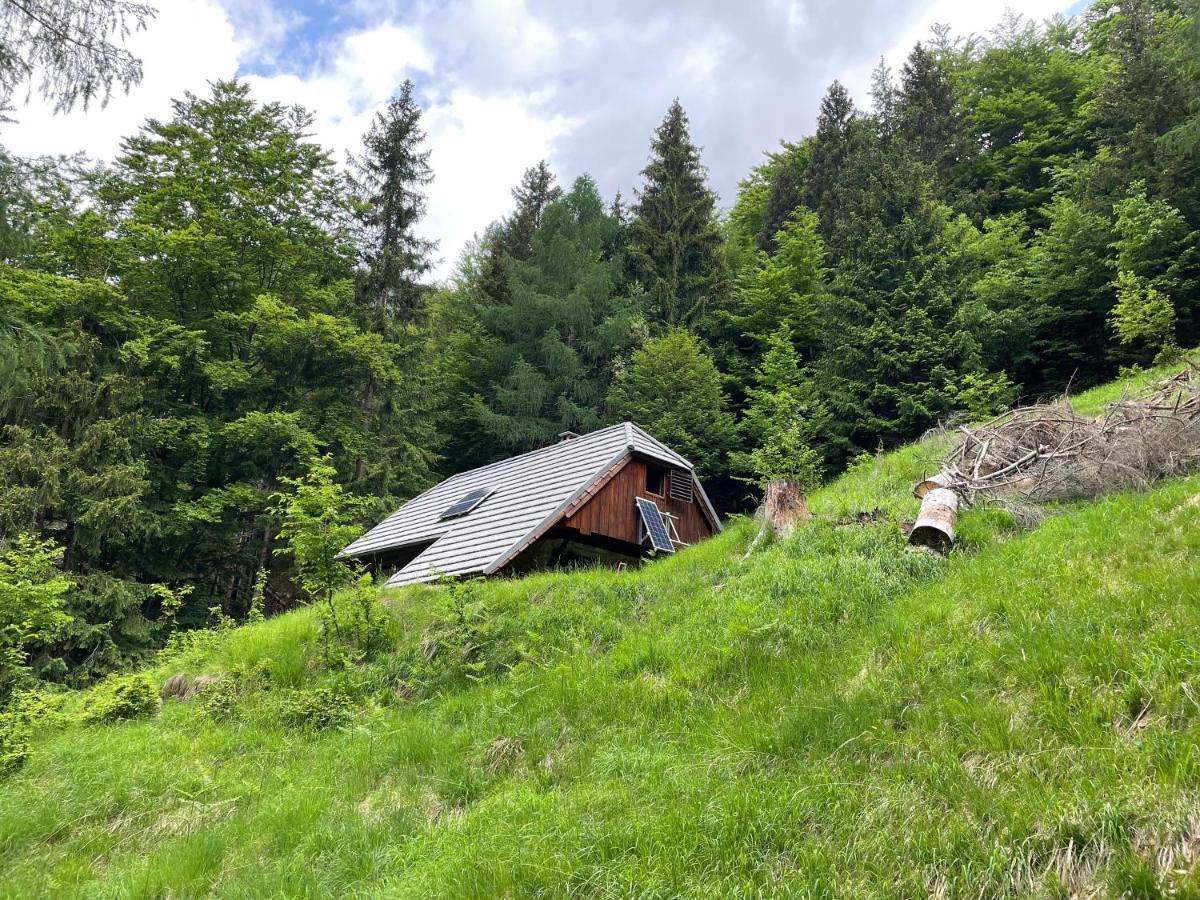 Architect'S Cottage - Serenity And Greenery In The Highlands Soča エクステリア 写真